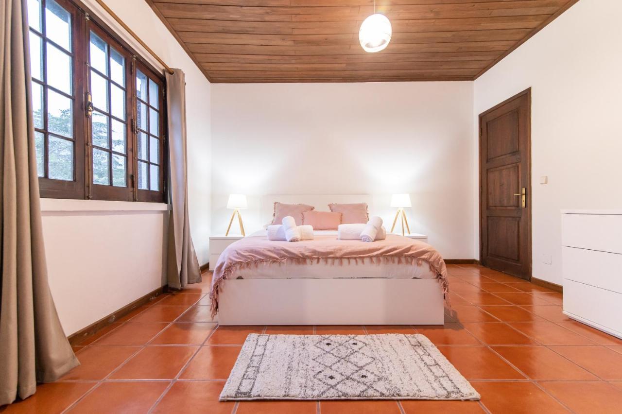 فيلا Casa Do Pinheiro With Shared Swimming Pool São Vicente Ferreira المظهر الخارجي الصورة